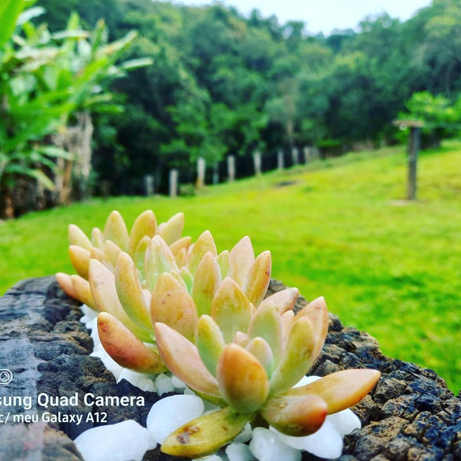 Sossego Da Mata Villa ซานโต อันโตนิโอ โด เลที ภายนอก รูปภาพ