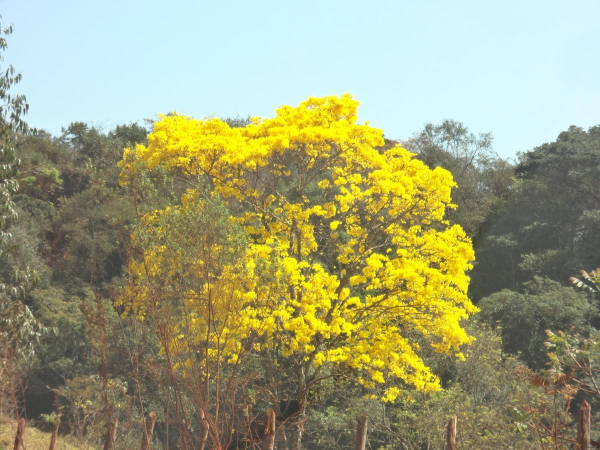 Sossego Da Mata Villa ซานโต อันโตนิโอ โด เลที ภายนอก รูปภาพ